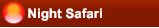 Night Safari