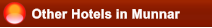 Other Hotels in Munnar